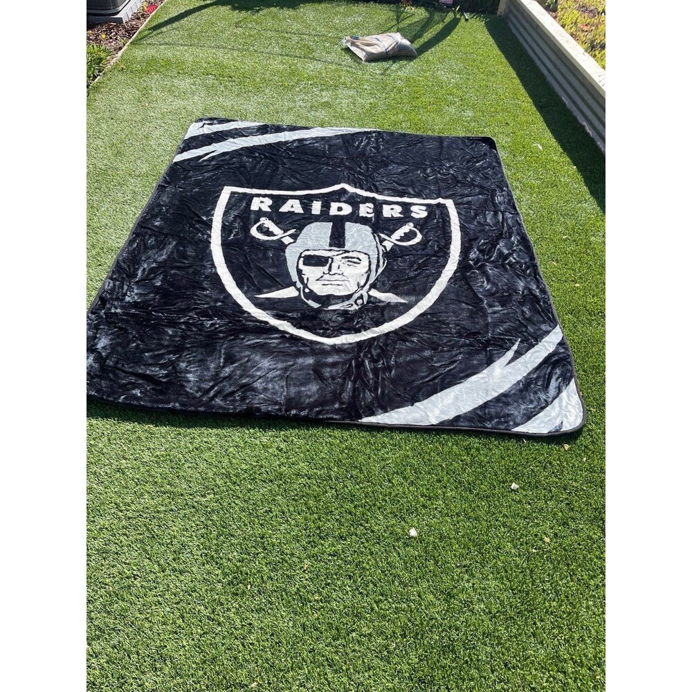 Raiders - Picture 2 of 6